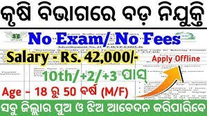 Odisha Agriculture Office New Recruitment 2025 – Notification Out for Various Posts | Salary Upto ₹39,000 Per Month