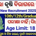 Odisha Farmer Accountant Jobs Recruitment 2025 – Apply 12th Pass