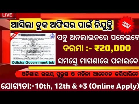 Odisha Block Level Recruitment 2025 – Notification Out for Various Posts | Salary Up to ₹55,000 Per Month