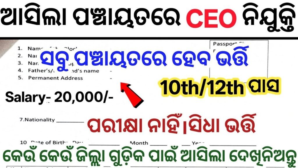 Panchayat Level CEO Recruitment 2025 | Apply Online for Various Posts | 10th, 12th, Graduate Eligible